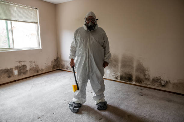 Trusted Verandah, FL Mold Inspection, Removal & Remediation Experts